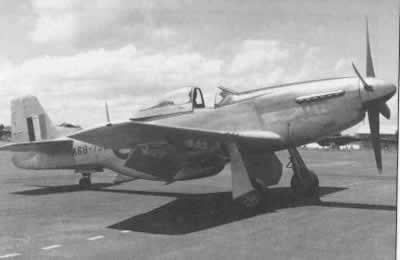 mustang